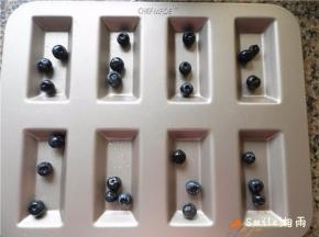 将学厨费南雪模具涂一层薄薄的玉米油，每个格子放3-4粒新鲜蓝莓(学厨模具是不沾的)。