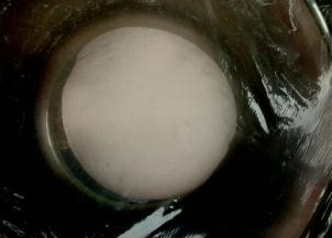 和成光滑面团后盖保鲜膜进行发酵至2倍大