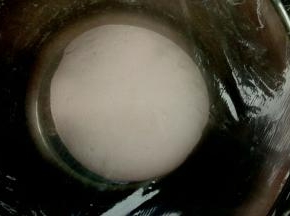 和成光滑面团后盖保鲜膜进行发酵至2倍大