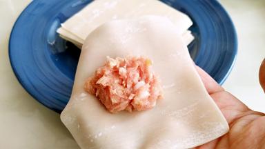 取一张馄饨皮中间放入适量肉馅。