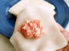 取一张馄饨皮中间放入适量肉馅。