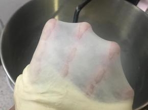 直至手套膜