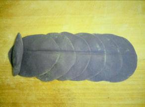 揪一小块面剂搓成两头尖的长条当花蕊（长度跟圆片差不多）