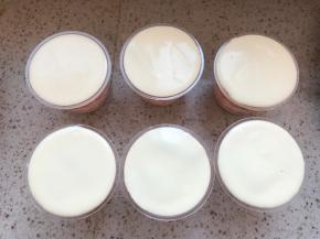 退后一层奶酪糊，冰箱里冷藏至少3个小时