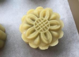 用25克模具压制成型。