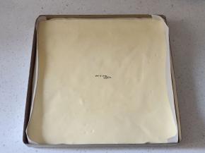 倒入烤盘中刮平表面，震两下，送入烤箱，175度，20-25分钟，大概23分钟就可以，我的略久了一点点