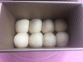 滚成圆团放入吐司盒（如图）。放入烤箱发酵。烤箱里放热水保湿