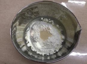 容器内加入中种的全部原料