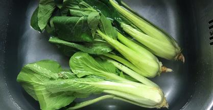 青菜在水里浸泡半小时左右