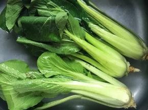 青菜在水里浸泡半小时左右