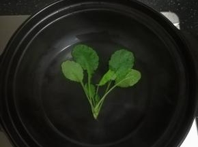 青菜用开水焯烫10秒左右。