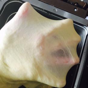 一个程序完美的进入了扩展阶段。