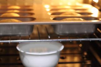 烤箱底部可以放一碗热开水.帮助发酵,