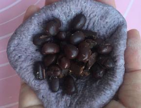 取一个松弛后的面团擀成圆片。放入适量红豆和巧克力，收口捏紧