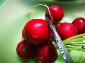 剪去萝卜根 把萝卜洗净