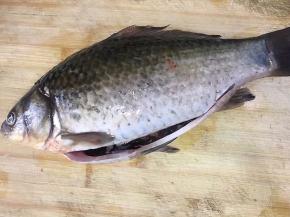 将鲫鱼去鳞破肚去内脏洗净