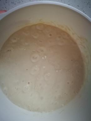 第二天，发好的波兰种