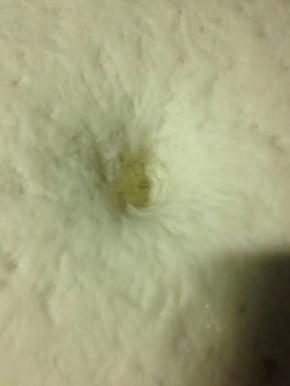 面团发酵到两倍大，按一下，孔不会回弹，就是发酵好了。