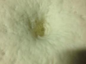 面团发酵到两倍大，按一下，孔不会回弹，就是发酵好了。