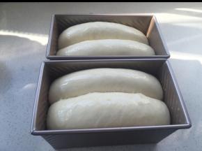 发到最高处到达吐司盒最高边。涂蛋液