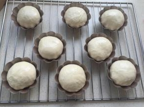 发酵到1.5--2倍（烤箱发酵）
