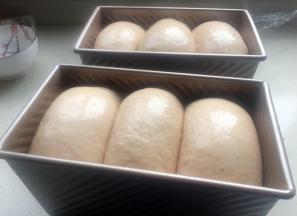 放入烤箱发酵到顶部和吐司盒最高边齐平