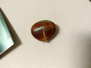 把板栗鼓鼓的一面朝上放在菜板上，用刀背稍微用一点力拍几下就会自然裂开一个缝隙，注意:不要拍的太狠，不然会拍成碎块的