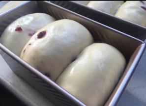 烤箱里放碗热水，发酵到最高处于吐司盒最高边齐平。涂稀释的蛋黄液。