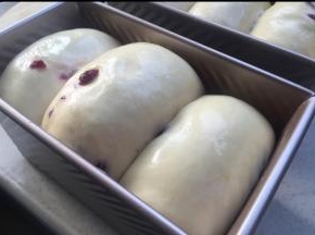 烤箱里放碗热水，发酵到最高处于吐司盒最高边齐平。涂稀释的蛋黄液。