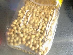 黄豆准备好。