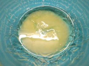 蛋白中加入细砂糖