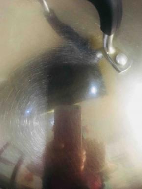 盖上锅盖中火炖煮二十分钟左右。