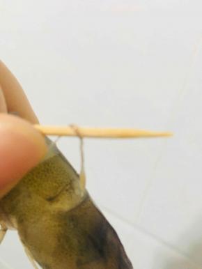 用牙签挑去虾线。