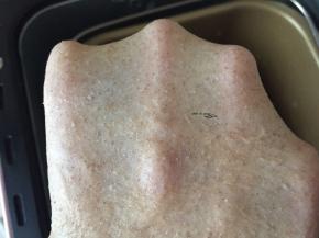 加入软化的黄油揉到扩展阶段