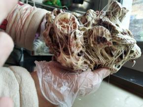 两手将雪花酥拉扯开，折叠，反复拉扯、折叠，让棉花糖包裹饼干、果脯和坚果