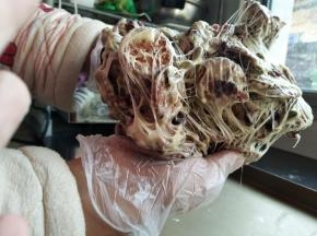 两手将雪花酥拉扯开，折叠，反复拉扯、折叠，让棉花糖包裹饼干、果脯和坚果