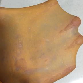 揉至出手套膜，时间大约二十五分钟