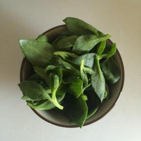 穿心莲摘洗干净，取嫩叶