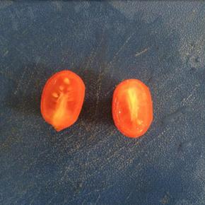 将圣女果切一刀