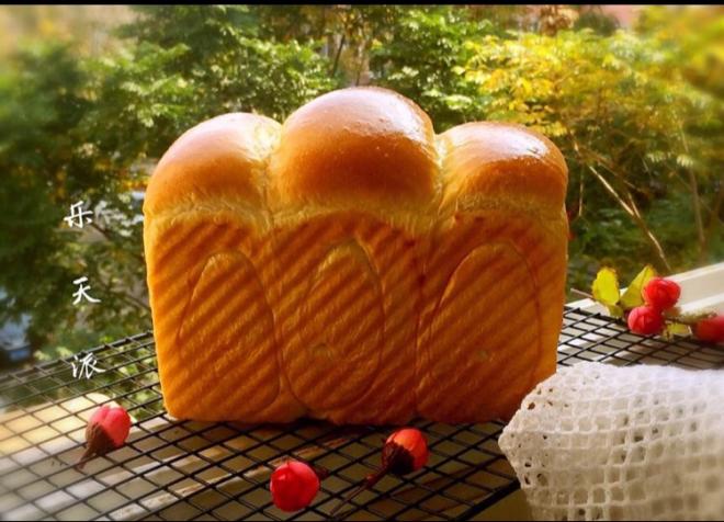 北海道咸味吐司