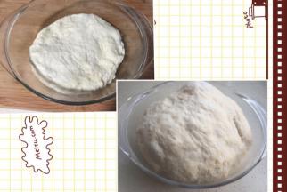 主材中的所有材料揉匀。冰箱冷藏5度发酵12-17小时