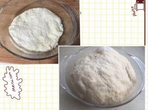 主材中的所有材料揉匀。冰箱冷藏5度发酵12-17小时