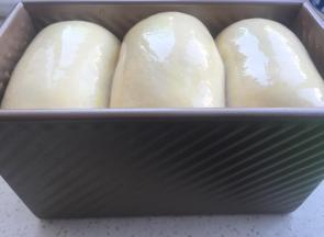 发到最高处到达吐司盒最高边。涂稀释蛋黄液。烤箱预热上下火180度，烤40分钟。（中途盖锡纸）