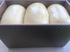 发到最高处到达吐司盒最高边。涂稀释蛋黄液。烤箱预热上下火180度，烤40分钟。（中途盖锡纸）