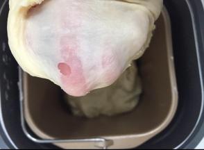 撕碎中种面团，加入主面团材料揉出薄膜。再次发酵到两倍以上