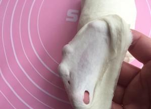 面团材料揉出薄膜