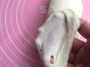 面团材料揉出薄膜