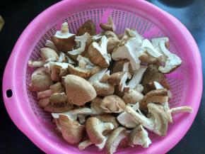 将香菇撕成块。