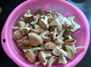 将香菇撕成块。