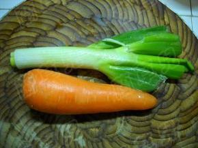 准备好大葱和胡萝卜。